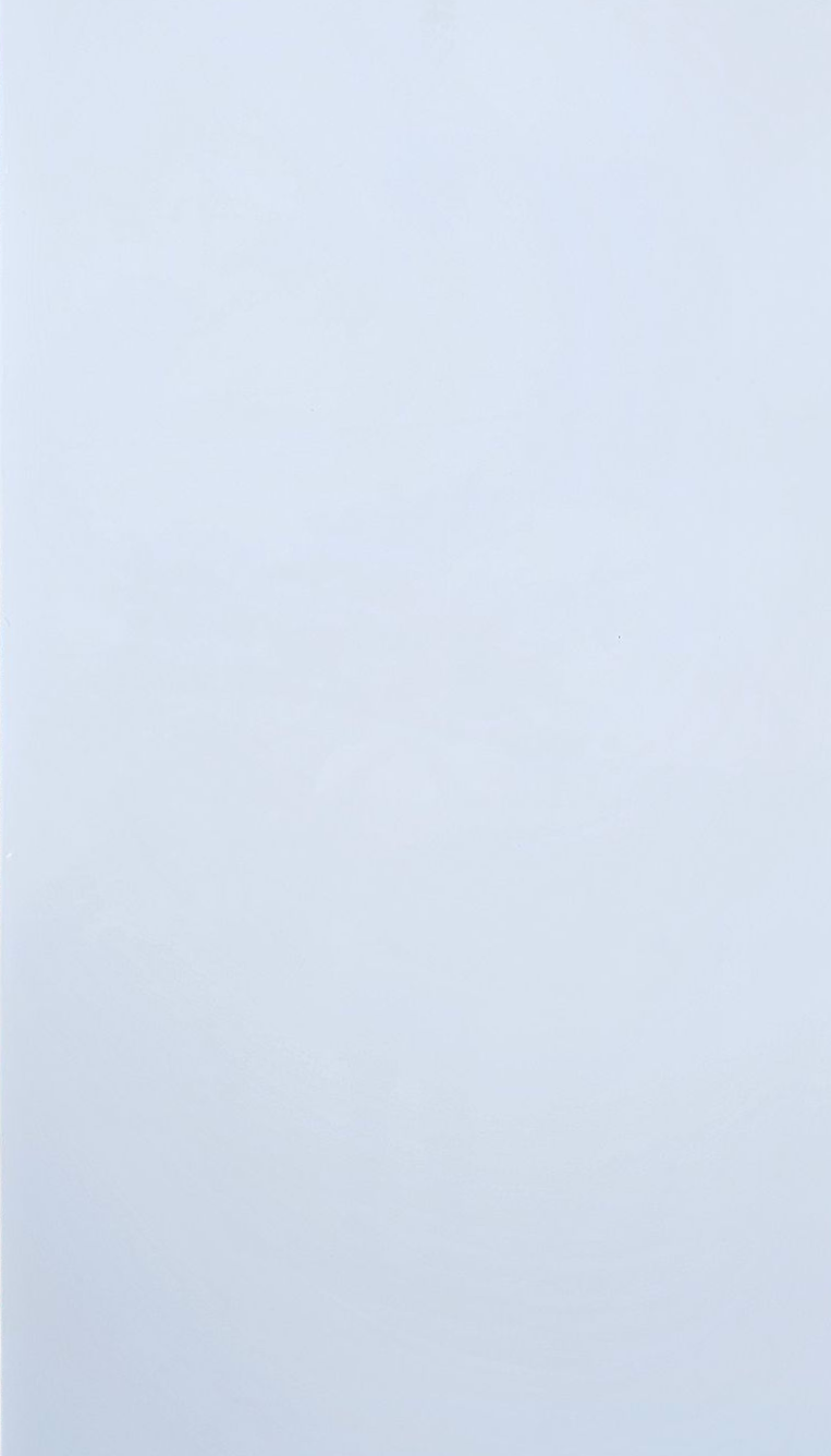 Flexstone PVC Panel - Arctic White