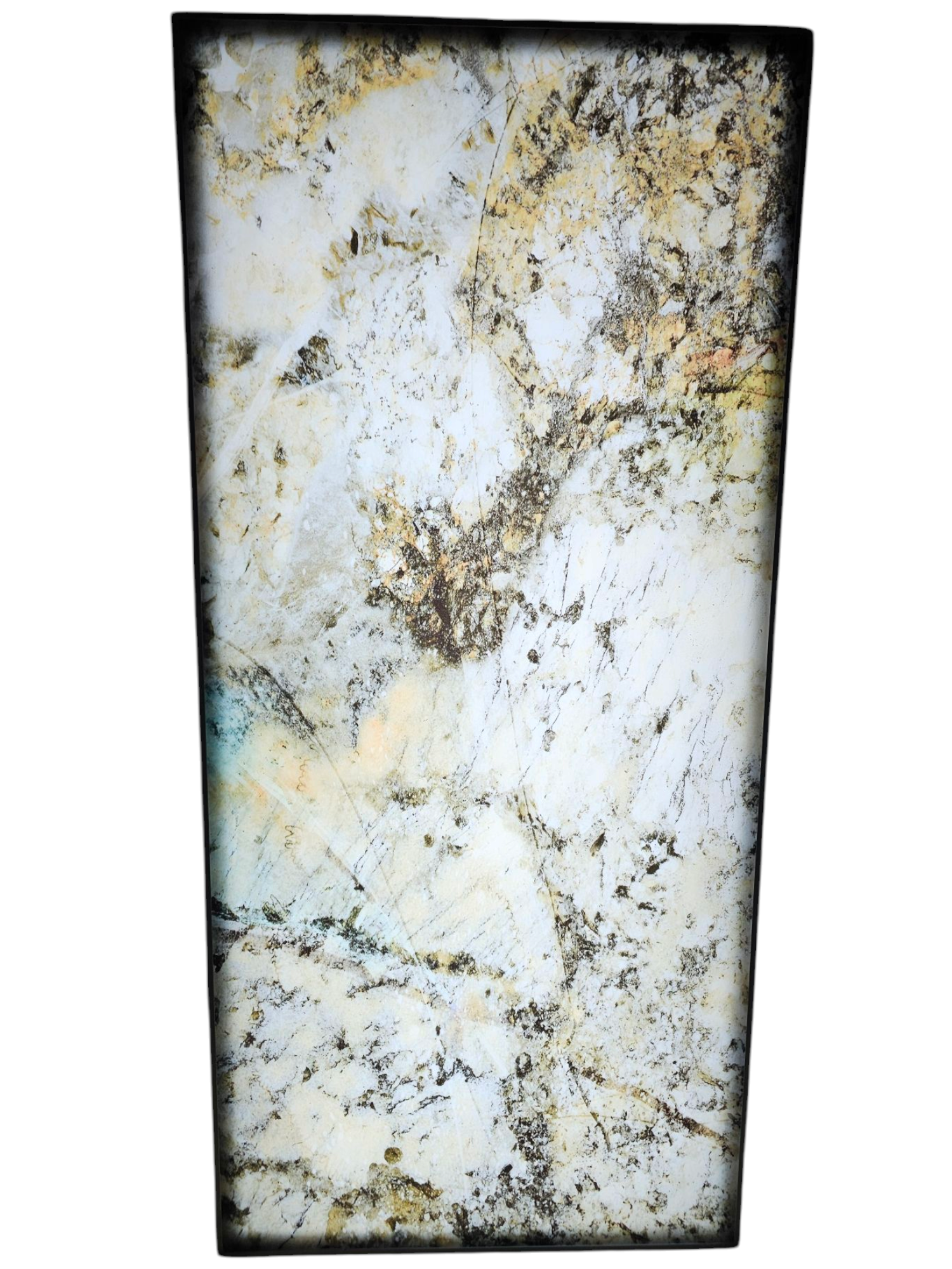 Translucent| Coral Reef