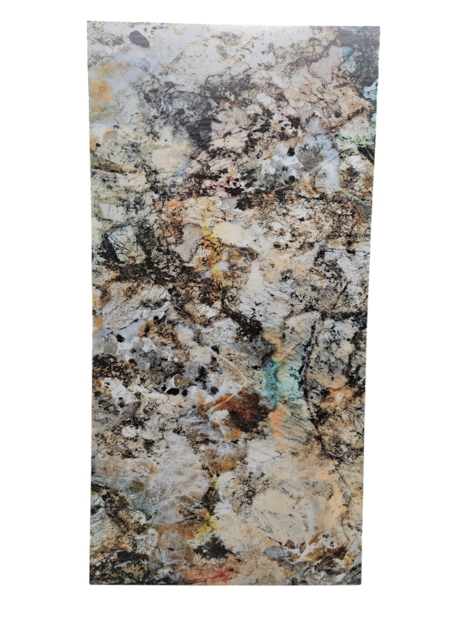 Translucent| Coral Reef