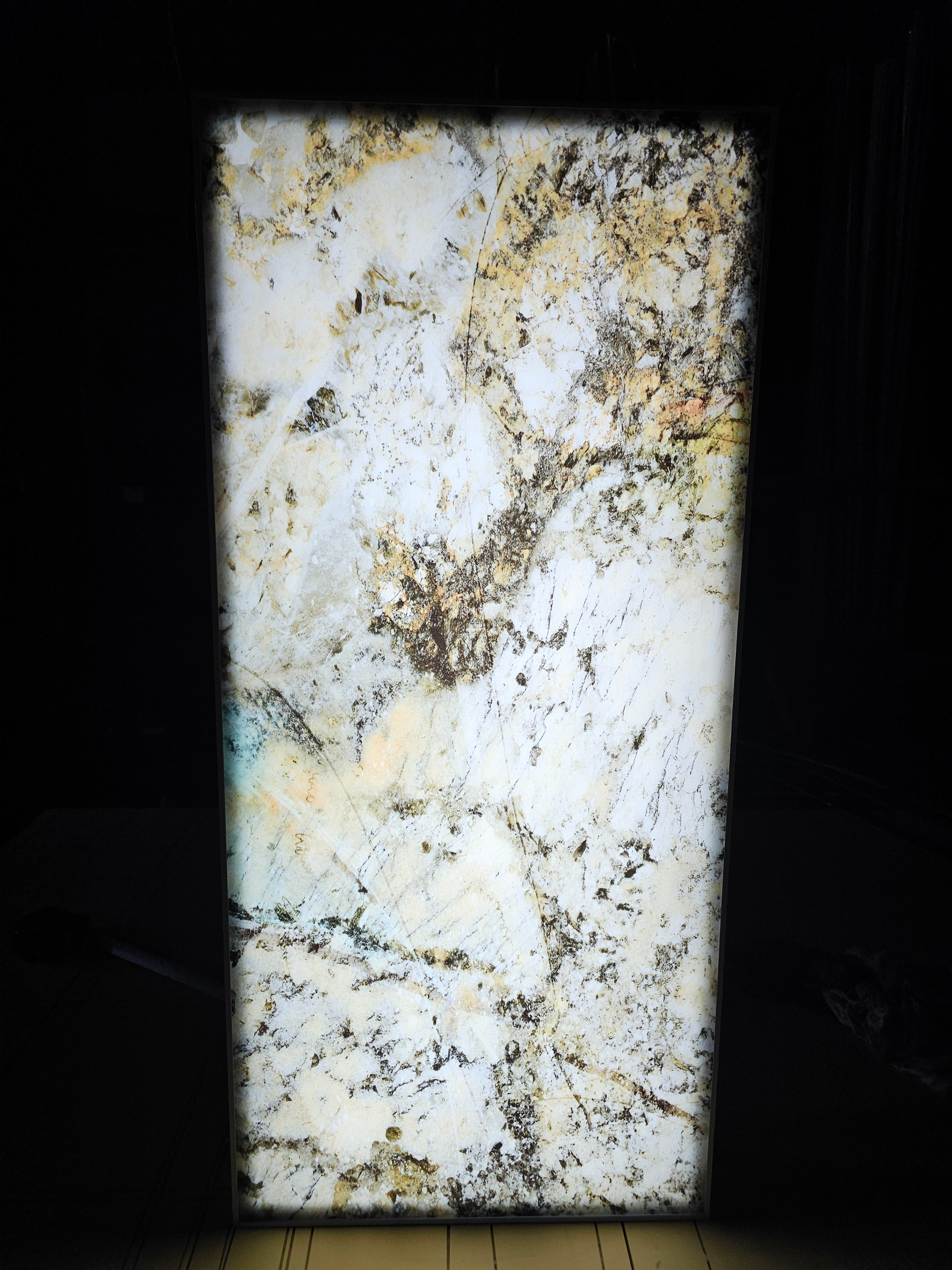 Translucent| Coral Reef