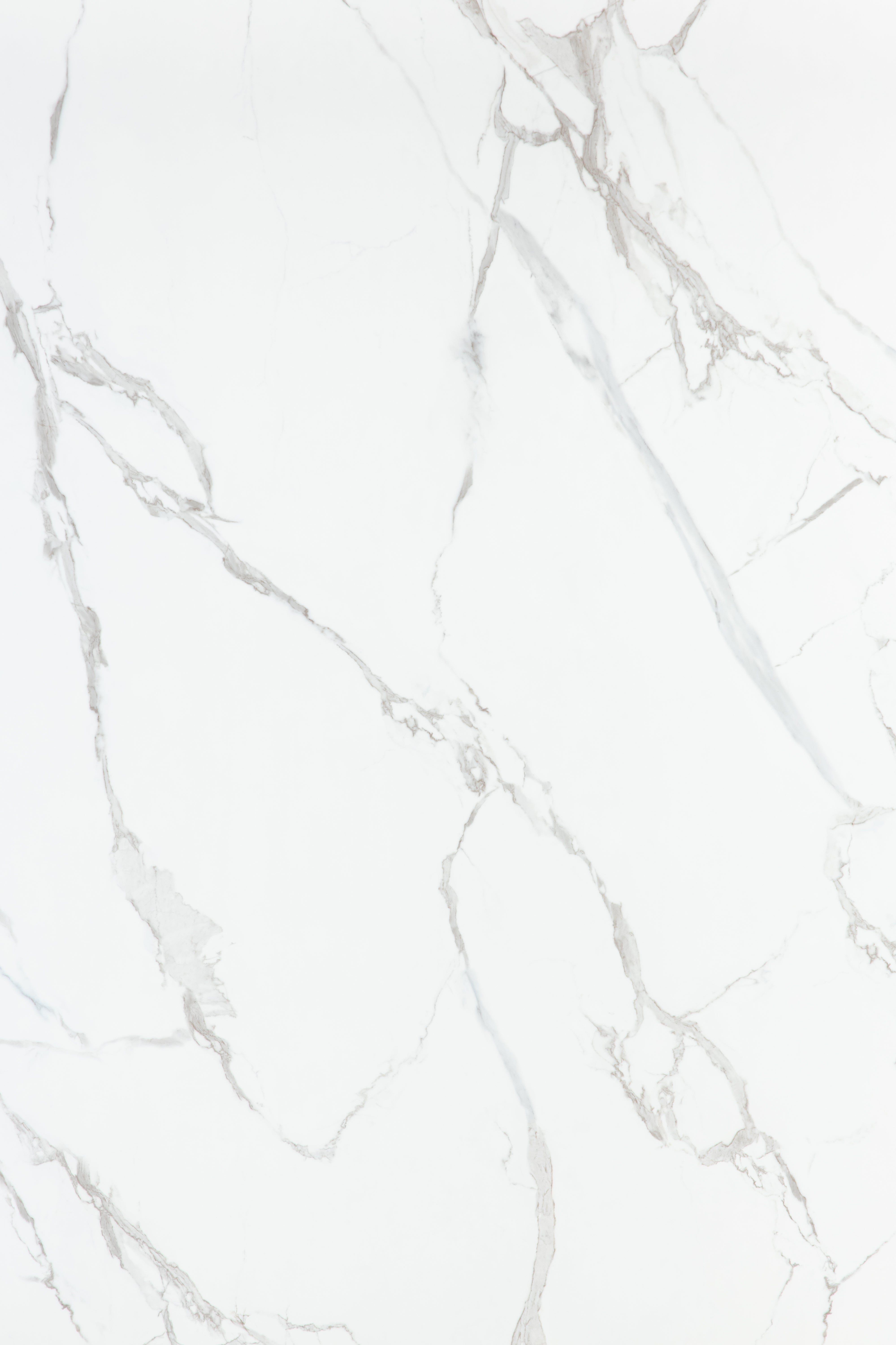 PVC Wall Panel | White Calacatta Trento