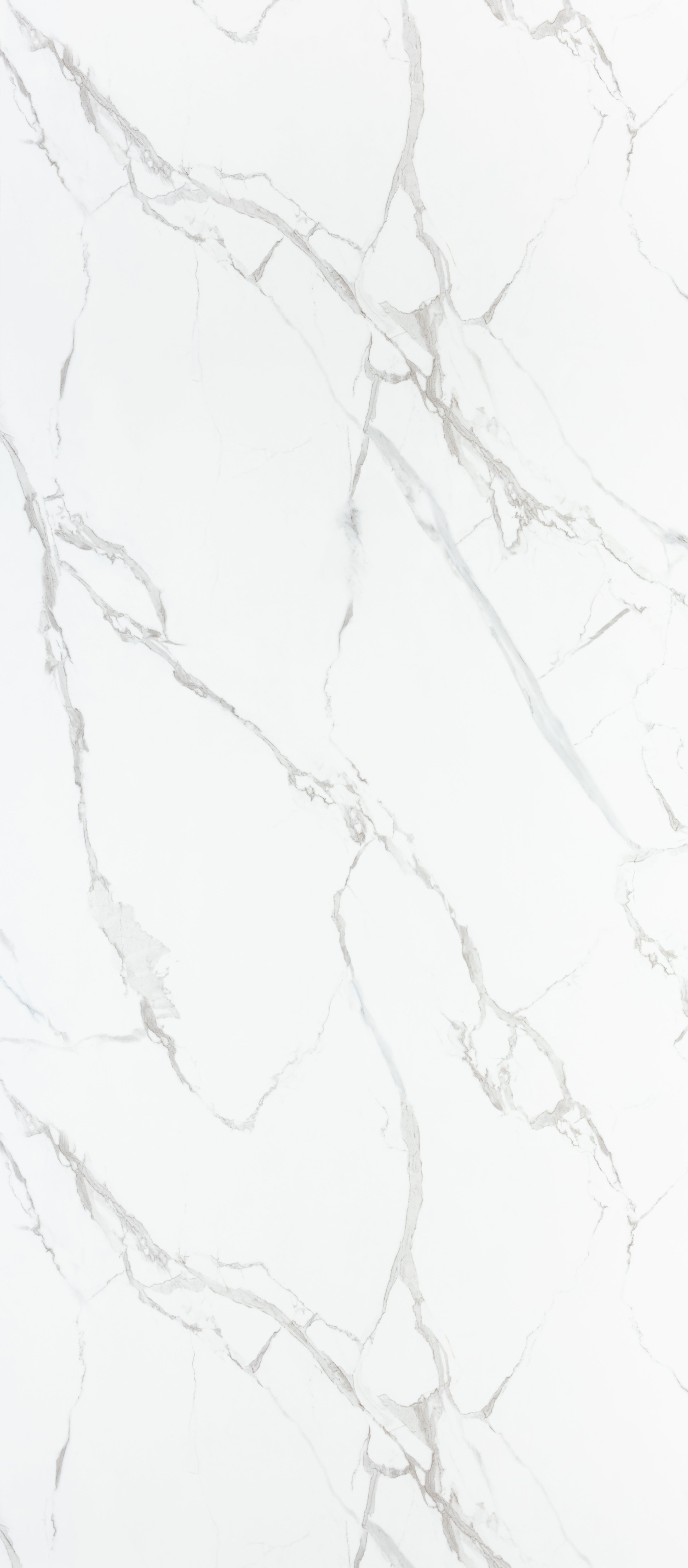 PVC Wall Panel | White Calacatta Trento