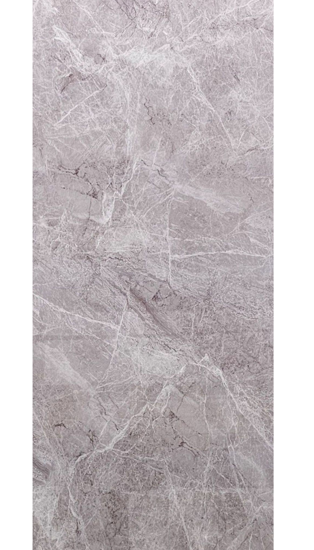 PVC Wall Panel | Taj Mahal