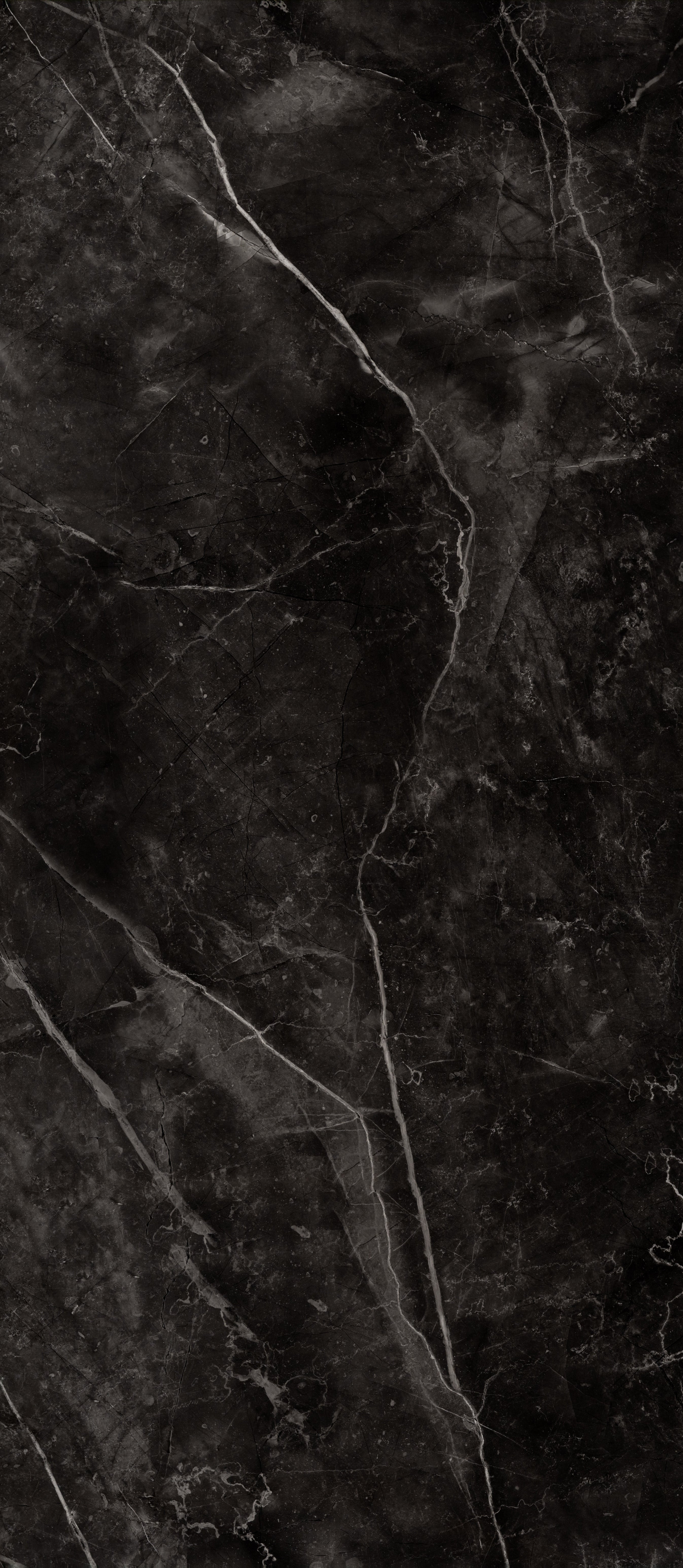 SPC wall panel